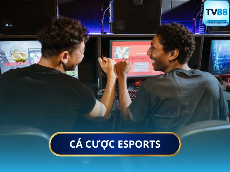 Tại Sao Dân Chơi Esports Chọn TV88 Thay Vì Nơi Khác